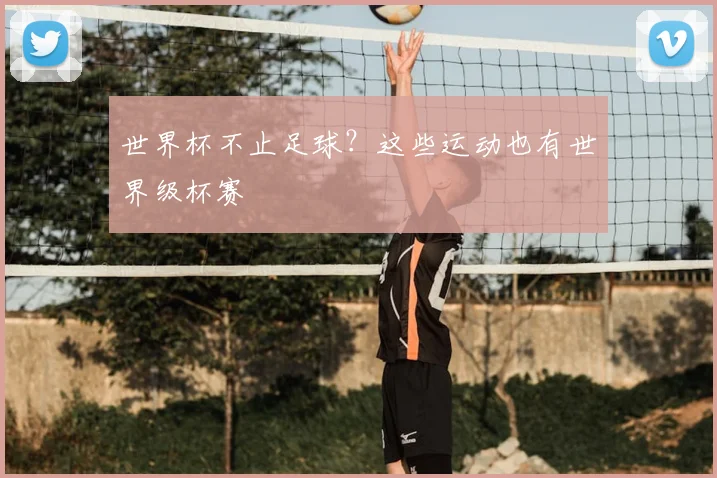世界杯不止足球?这些运动也有世界级杯赛